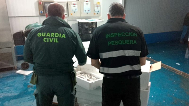 Incautados casi 800 kilos de productos pesqueros sin garantías de seguridad para su consumo