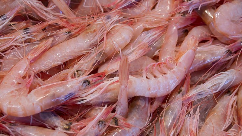 La Junta de Andalucía convoca ayudas para impulsar el valor añadido de los productos pesqueros