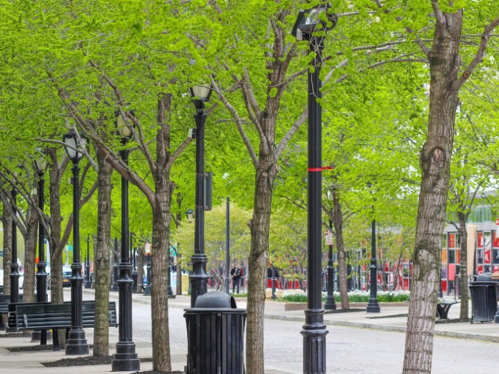 Andalucía destina cinco millones para combatir el cambio climático en municipios.