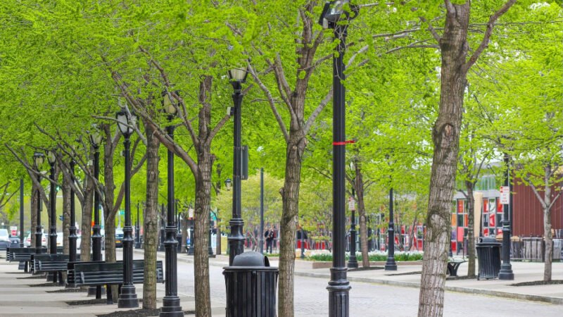 Andalucía destina cinco millones para combatir el cambio climático en municipios.