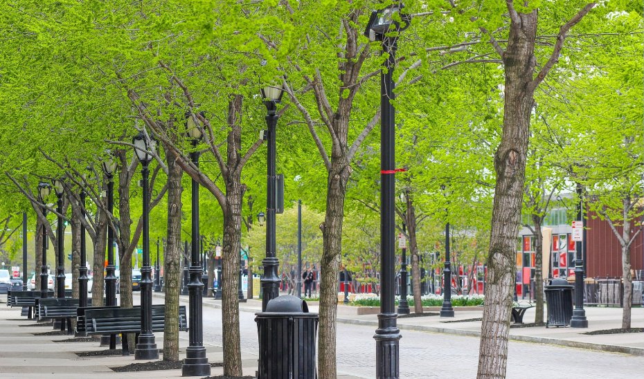 Andalucía destina cinco millones para combatir el cambio climático en municipios.