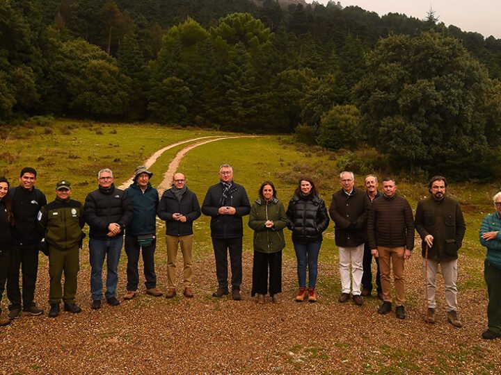 Andalucía y Aragón unen esfuerzos para proteger el pinsapo mediante un protocolo pionero en español.
