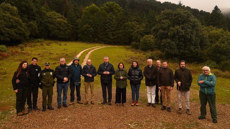 Andalucía y Aragón unen esfuerzos para proteger el pinsapo mediante un protocolo pionero en español.