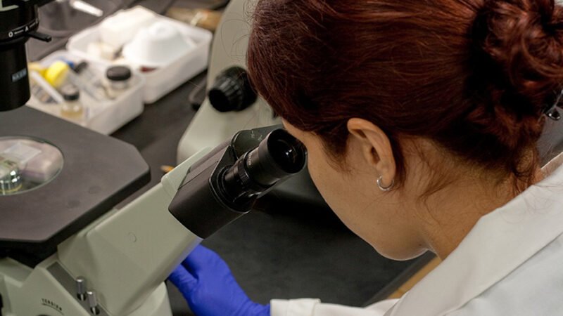 El Gobierno andaluz convoca ayudas por 10,96 millones para formar a 97 investigadores predoctorales.