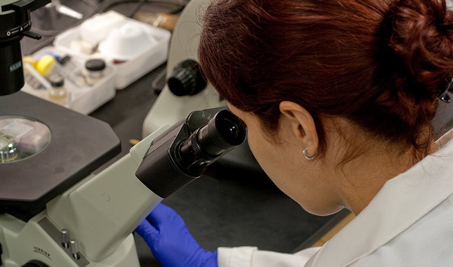 El Gobierno andaluz convoca ayudas por 10,96 millones para formar a 97 investigadores predoctorales.