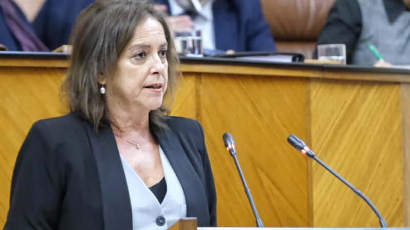 El Proyecto de Ley de Montes de Andalucía es aprobado en el Parlamento andaluz.