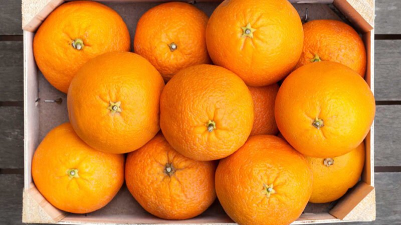 Equipo de la UAL mejora detección de pesticidas en frutas para seguridad alimentaria.