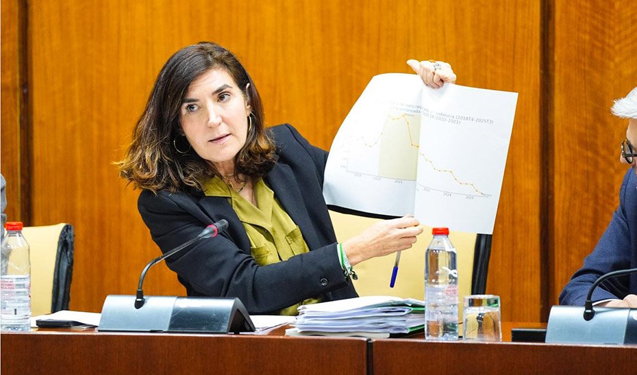 Los programas del SAE benefician a cerca de 490.000 personas durante la legislatura.