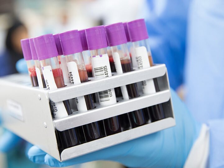 Sanidad anima a donar en Navidad tras superar las 250.000 muestras de sangre en 2025