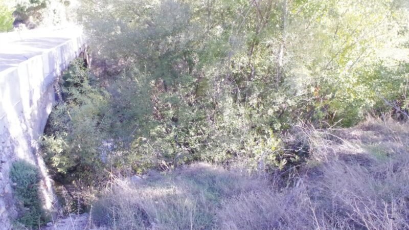 Ecologistas piden medidas urgentes para recuperar el río Velillos por vertidos de aguas residuales en Granada.