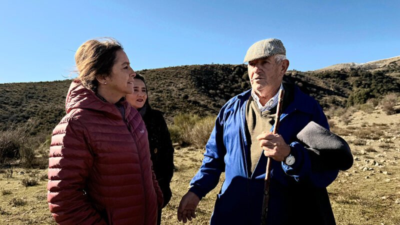 La bonificación de pastos públicos ahorrará 1,5 millones a ganaderos