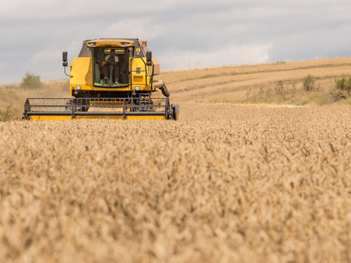 Inicio del plazo para solicitar la PAC de 2026 en Andalucía.