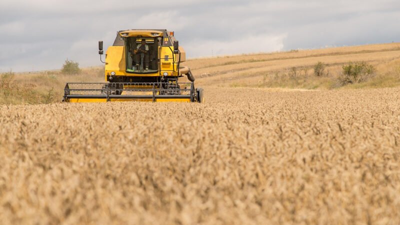 Inicio del plazo para solicitar la PAC de 2026 en Andalucía.