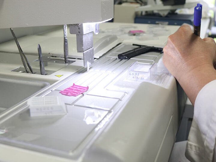 Andalucía obtiene 16 ayudas europeas ‘Marie Curie’ para captar talento investigador joven de excelencia.