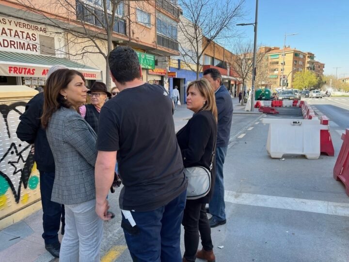 El PSOE critica al gobierno local por el abandono de calles en La Chana de Granada.