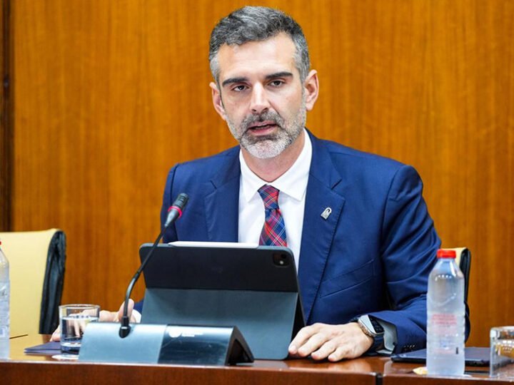 Recuperación del sector productivo andaluz tras las borrascas: prioridad para la Junta.