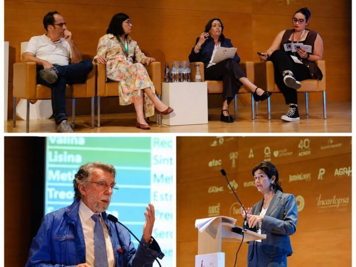 Aporta el 70% de la vitamina B12 diaria.