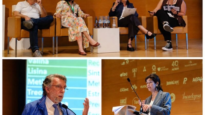 Aporta el 70% de la vitamina B12 diaria.