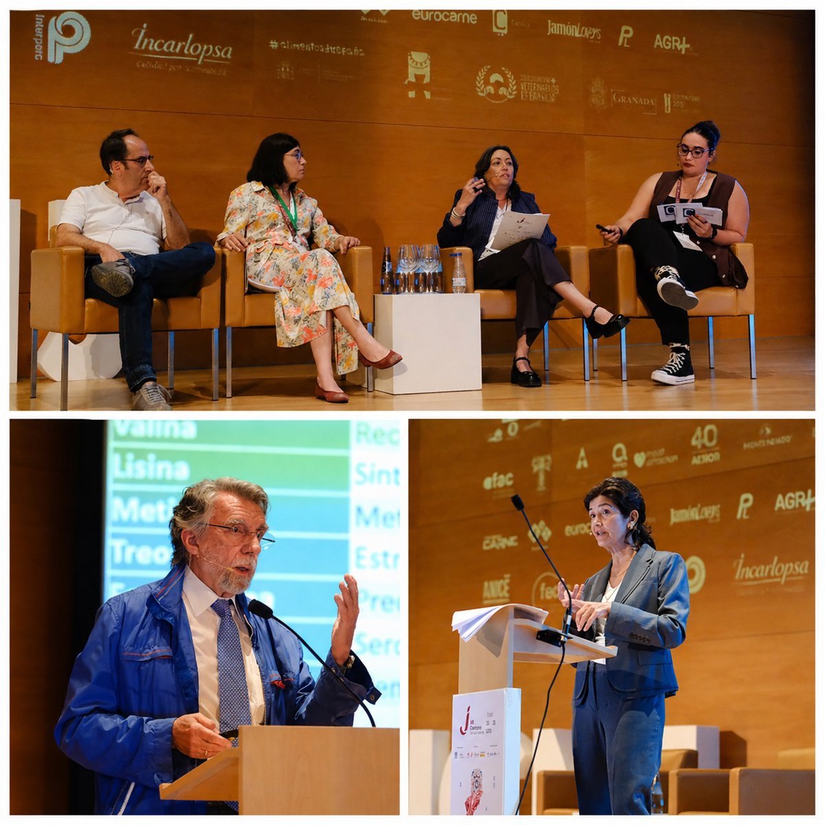 Aporta el 70% de la vitamina B12 diaria.