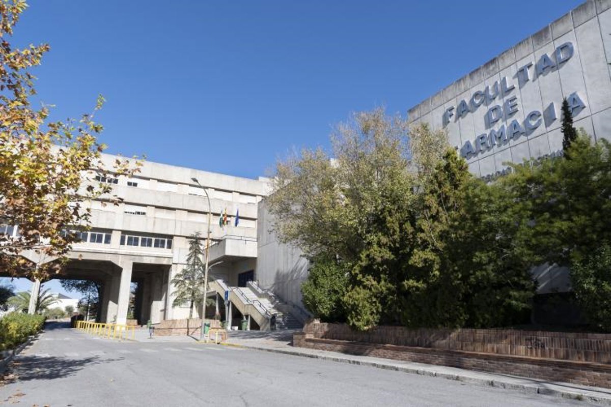 Congreso Internacional de Comunicación y Educación para una Alimentación Saludable
