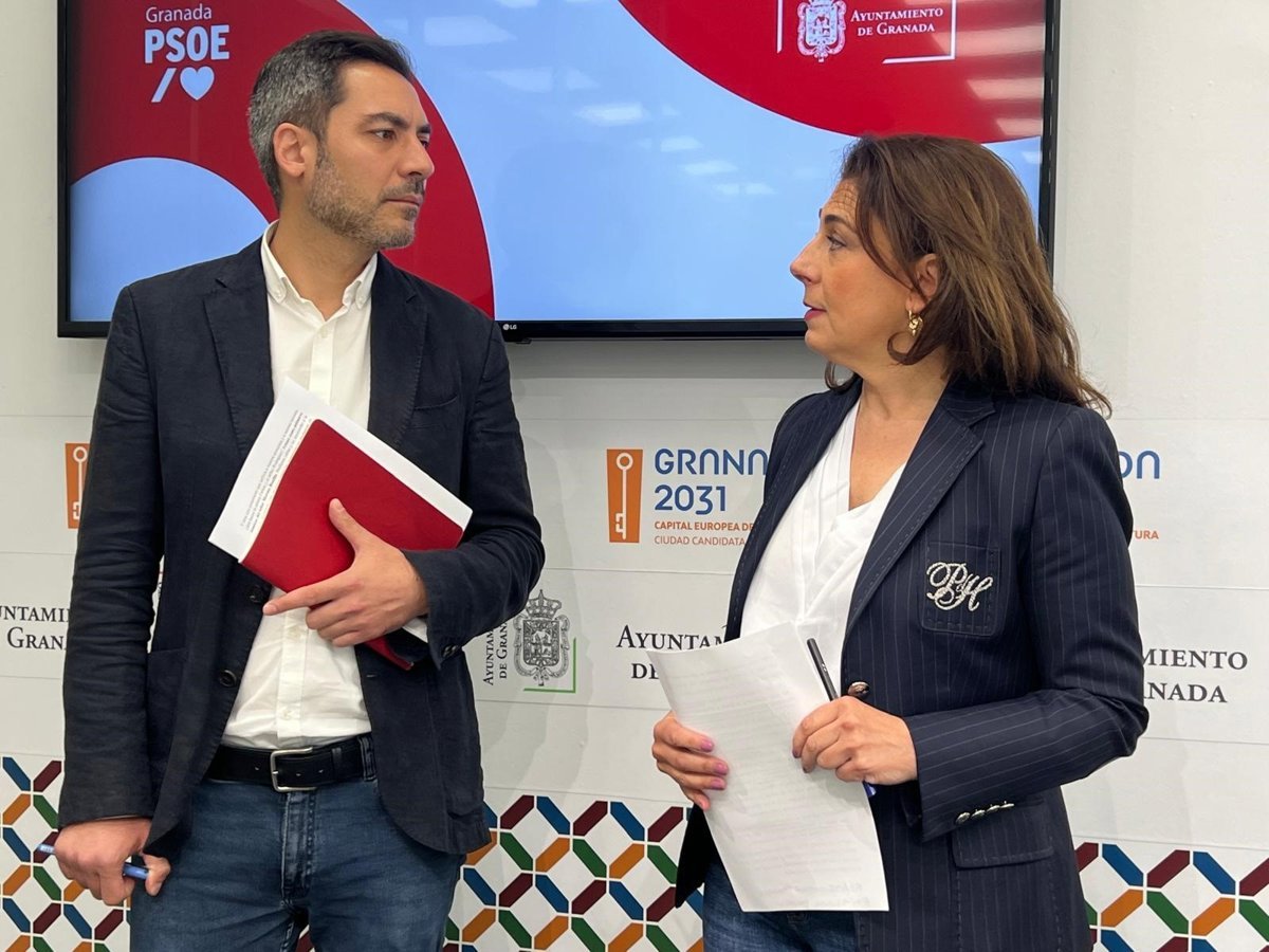 PSOE de Granada critica pérdida de cuatro vuelos en verano en aeropuerto por gestión del PP.